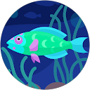 Kana profile picture